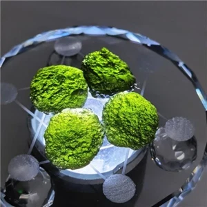 18,4 g grüner Edelstein Moldavit Meteorit Einschlagglas Tschechisch - 4 Stück L366 - Bild 1 von 12