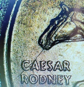 spitting horse 1999-p delaware state quarter - Picture 1 of 3