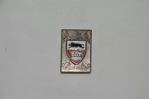 INSIGNE 4° REGIMENT DRAGON-EXTREME ORIENT-INDOCHINE- DRAGO OLIVIER METRA-DEPOSE - Bild 1 von 2