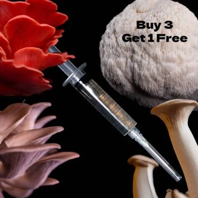 Collezione Coltura Liquida Funghi 10ml (100% Biologico) - Immagine 1 di 4