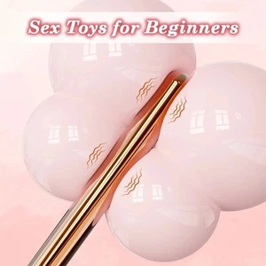 Vibrador Bullet Varita 10 Velocidades GSpot Consolador Anal Plug Estimulador de Clítoris Lubricante USB - Imagen 1 de 14