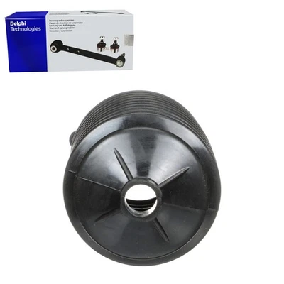 Kit de fuelle de piñón y cremallera Delphi para Chevrolet Lumina 1990-2001 Foto 1 de 3