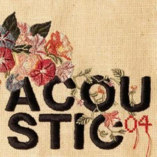 Various Artists Acoustic 04 double CD Europe Echo 2004 ECV25