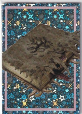 Panini Harry Potter Evolution Trading Cards Karte Nr. 245 Magical Object