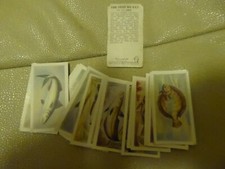 A FULL SET OF  'WHITE FISH AUTHORITY' TRADE  CARDS -  THE FISH WE EAT