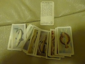 A FULL SET OF  'WHITE FISH AUTHORITY' TRADE  CARDS -  THE FISH WE EAT