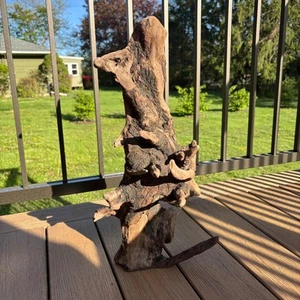 Baumförmiges Treibholz 21x9 Atemberaubende Bio Holz Terrarium Aquascaping Deko - Bild 1 von 8