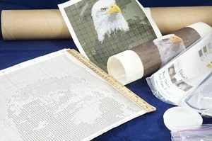 NeedlePaint Kit Adler Grafik Fadenmuster Nadelspitze Leinwand Farbführer Zahnseide - Bild 1 von 7