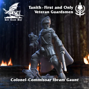 colonel veteran de la guarde gaunt - Imagen 1 de 1