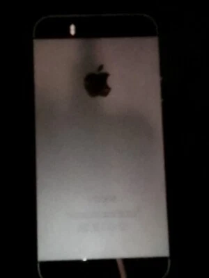 Apple iPhone 5 - 32 GB - 白色 银色(解锁) — 第 1/3 张图片