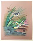 Chickadee Bird Painting Handmade Miniature Realistic Artwork On Old Stiff Paper