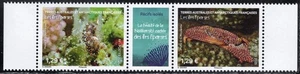 2025 TAAF/FSAT Corals Fish MNH - Picture 1 of 1