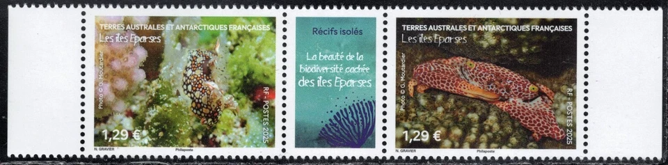 2025 TAAF/FSAT Corals Fish MNH - Image 1 of 1