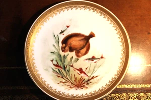 HAND PAINTED FISH PLATE BODLEY late 19th early 20th century 2 - Picture 1 of 7