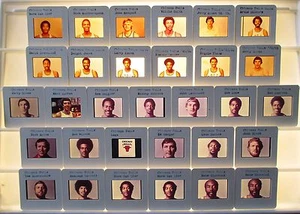 1974-94 NBA Chicago Bulls TV cards tm sets U PICK Sloan Pippen Kerr Love etc - Picture 1 of 5