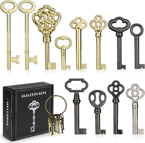 Llave Esqueleto, Kit de Llaves Esqueleto Barril Hueco Universal 12 Llaves para Antiguo - Imagen 1 de 12
