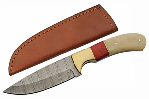 Hunting Knife | Damascus Steel Blade Bone Brass Red Wood Handle Skinner + Sheath - Picture 1 of 9