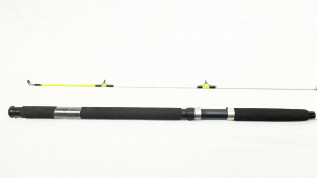 Catfish Fishing Rods & Poles for sale