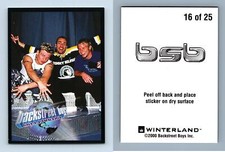 Backstreet Boys Black & Blue #16/25 Millennium 2000 Winterland Sticker