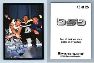 Backstreet Boys Black & Blue #16/25 Millennium 2000 Winterland Sticker