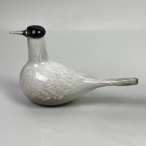 Vetro soffiato a mano iittala Toikka Arctic Tern 2000 uccellino annuale Finlandia - Foto 1 di 13