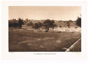 LA GARRIGUE LANGUEDOCIENNE photo 1934 - Picture 1 of 1