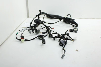 Arnés de cables para puerta de pasajero delantero derecho Ford Explorer 2022-2024 P1MT-14630-BEC Foto 1 de 4