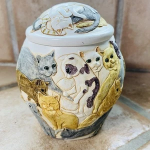 Jardinien Katzen Galore Haustier Urne Glas Denkmal Schmuck Behälter & Deckel - Bild 1 von 8