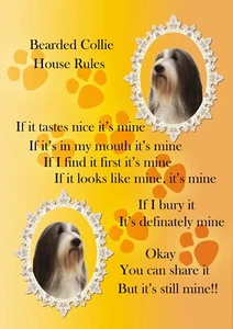Bearded Collie Comic Dog Sign "It's Mine" A4 Laminated Poster Print Fun Gift - Picture 1 of 1