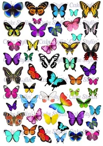 Edible BUTTERFLIES Wafer Paper Cupcake Cake Toppers BUTTERFLY Mixed BIRTHDAY - Picture 1 of 1