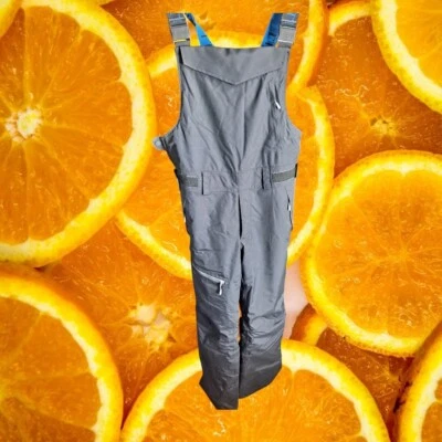 L.L. Bean Snow Baberos Aislados Impermeable Esquí Snowboard Mono Gris Foto 1 de 4