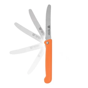 GRÄWE Klappmesser mit Wellenschliff, Frühstücksmesser, Brötchenmesser, mit Etui - Bild 1 von 32