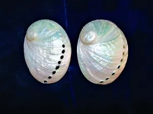 TWO (2) POLISHED ASSIMILIS PEARLED ABALONE SEA SHELLS DECOR CRAFTS - Picture 1 of 12