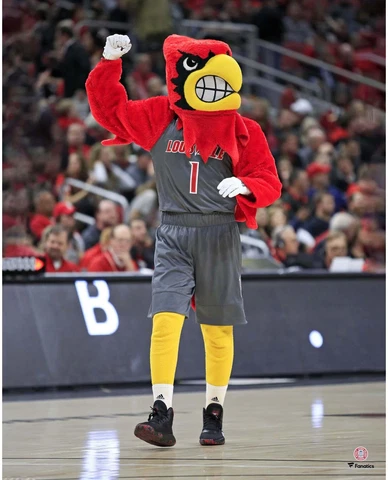 Louisville Cardinals Unsigned Louie the Cardinal Hyping Up Crowd 16x20 Photo Cover