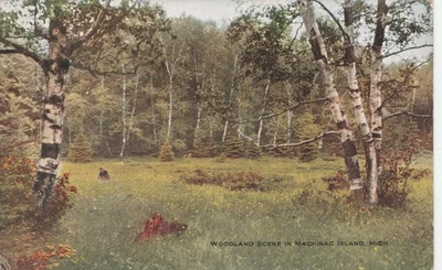 Woodland scene in Mackinac Island MI Antique souvenir postcard posted - Image 1 of 2
