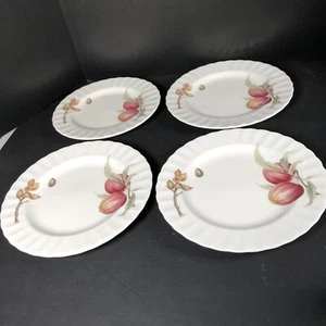 Mikasa Maxima Fine China “Belle Terre” 8.25 In Salad Plates CAJ05 Set Of 4 - Picture 1 of 6