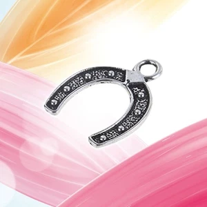 30pz Lega a Forma di Ferro di Cavallo Accessori per Creazione Gioielli Fai da Te Artigianato Decorazione - Foto 1 di 11