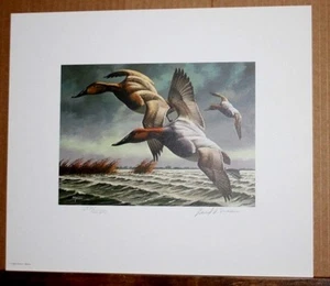 CanvasBacks The King of Ducks 1982-83 Federal Duck Stamp Print by David A Maass - Bild 1 von 5