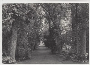 CP 45 Loiret - La Chapelle Saint-Mesmin - Notre-Dame de la Solitude - Picture 1 of 2