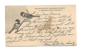 Massachusetts Audubon Society Card~Vintage Postcard Note - Picture 1 of 2