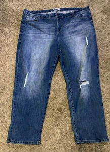 Molly & Isadora Jeans Womens Plus Size 22 Blue Distressed Denim Stretch Destroy - Picture 1 of 11