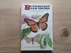 Butterflies and Moths A Golden Nature Guide 423 Illustrations Vintage 1960s 1964 - Imagen 1 de 8