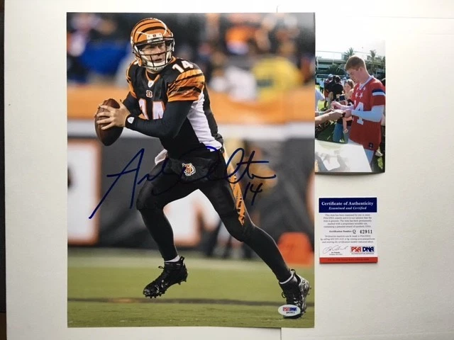Andy Dalton Hot! Foto autografada assinada 11x14 Bengals certificado PSA/DNA PROVA!! - Imagem 1 de 1