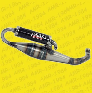 Silenciador giannelli Shot V4 Homologada Malaguti F12 H2O-F12 R H2O 50 31601V4 - Imagen 1 de 1