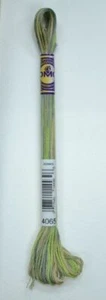 DMC Colour Variations Thread Embroidery Floss, Colour 4065 Morning Meadow - Imagen 1 de 1