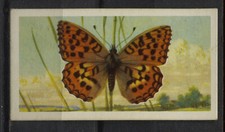 British Butterflies Collectable Brooke Bond Tea Cards  - Pick up your Card