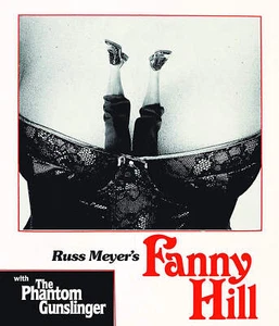 FANNY HILL / THE PHANTOM GUNSLINGER BLU-RAY/DVD NEW Vinegar Syndrome - Imagen 1 de 1