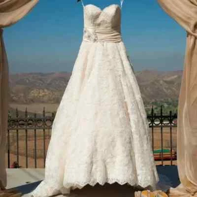 Vestido de novia Allure Bridals 8850 vestido de baile 10 marfil dorado tul encaje brillante $2499 Foto 1 de 4