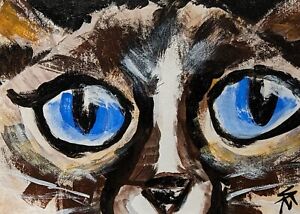 Oryginalny obraz kota ACEO Kotek Syjamska Współczesna sztuka ludowa Samantha McLean