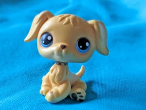 LPS 2004 Littlest Pet Shop #21 Golden Retriever PuppLPS 2004 Liy Dog Blue Eyes - Picture 1 of 3